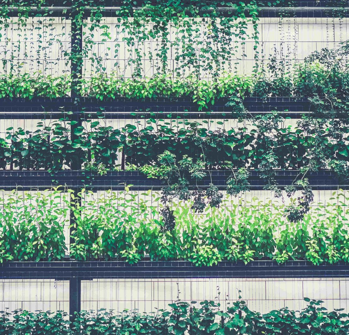 nolisoli vertical gardens