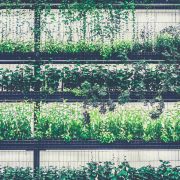 nolisoli vertical gardens