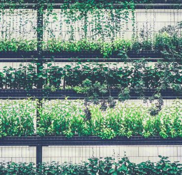 nolisoli vertical gardens