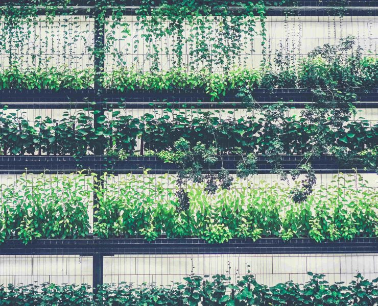 nolisoli vertical gardens