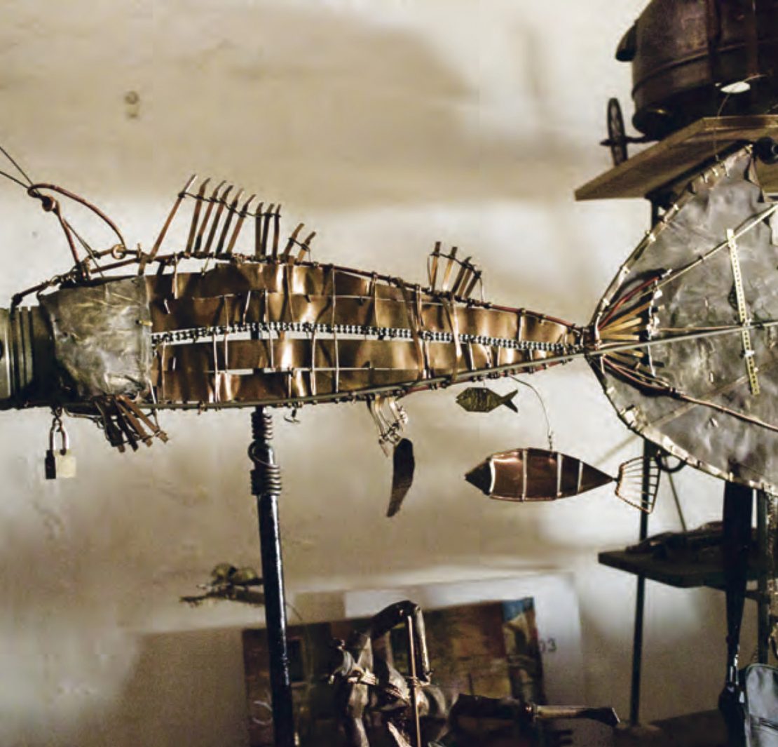 nolisoli northerner ral arrogante