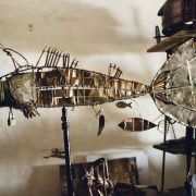 nolisoli northerner ral arrogante