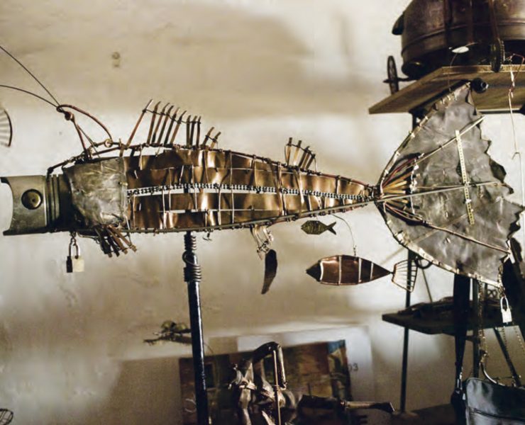 nolisoli northerner ral arrogante