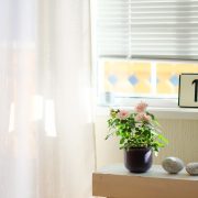 nolisoli health zen at home