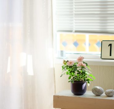 nolisoli health zen at home