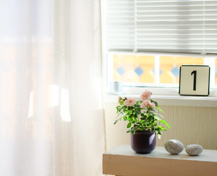 nolisoli health zen at home