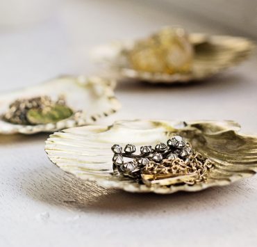 nolisoli make craft seashell plate