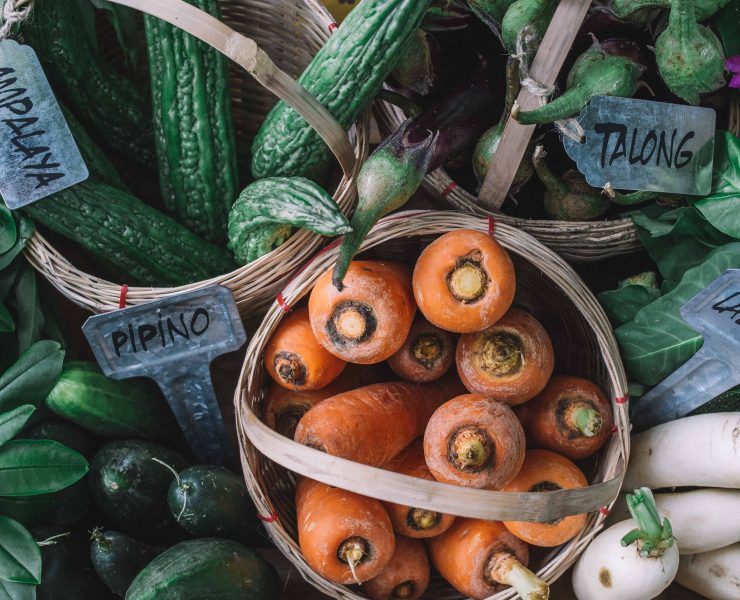 nolisoli holy carabao family farming