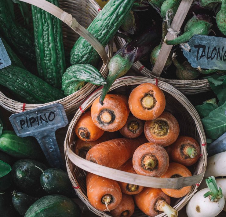 nolisoli holy carabao family farming