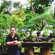 nolisoli be profile juan lim bonsai
