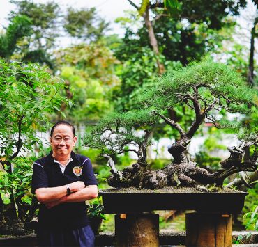 nolisoli be profile juan lim bonsai