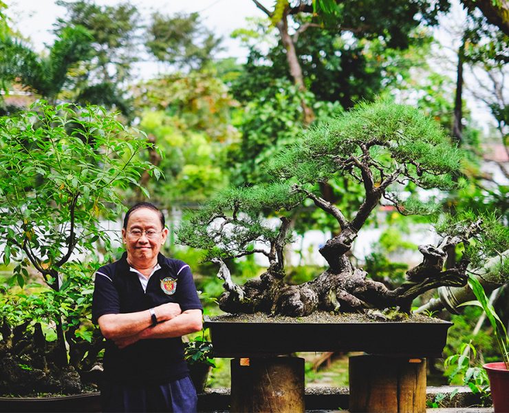 nolisoli be profile juan lim bonsai