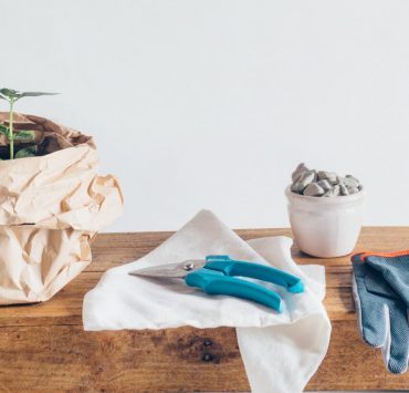 make market 1115 noli herb garden