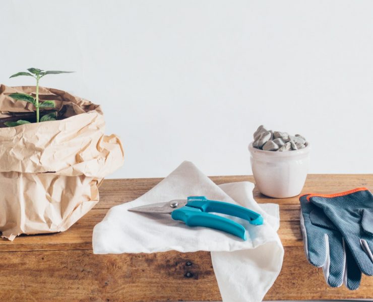 make market 1115 noli herb garden