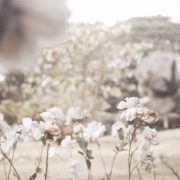 nolisoliph fashion white