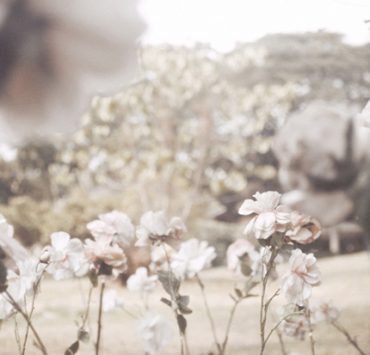 nolisoliph fashion white