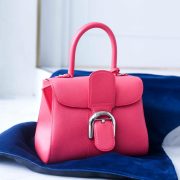 nolisoli market the get delvaux bag