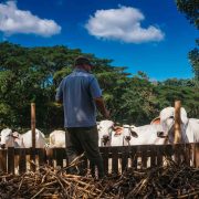 nolisoli be profile angelo valencia kuya pultak tibby farm