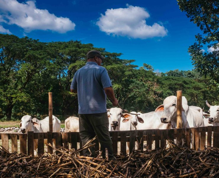 nolisoli be profile angelo valencia kuya pultak tibby farm