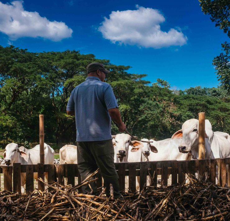nolisoli be profile angelo valencia kuya pultak tibby farm