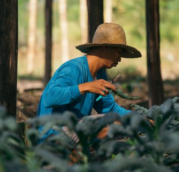 noli march feature teraoka family farm