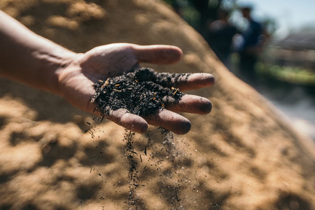 noli march feature teraoka family farm