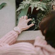 nolisoli home plants