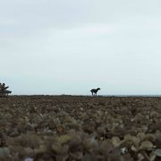 noli april profile baler carmen araneta