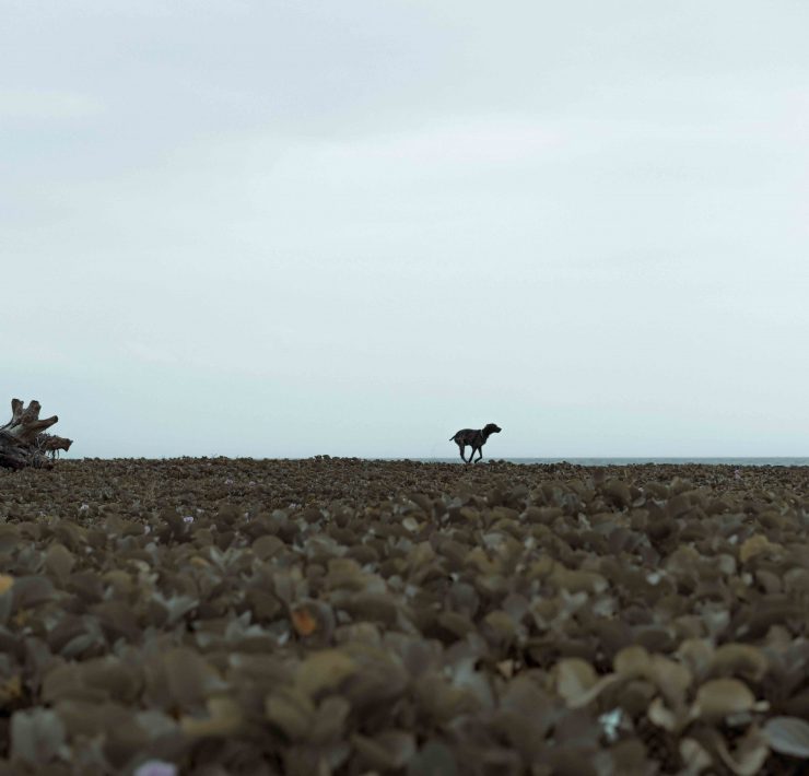 noli april profile baler carmen araneta