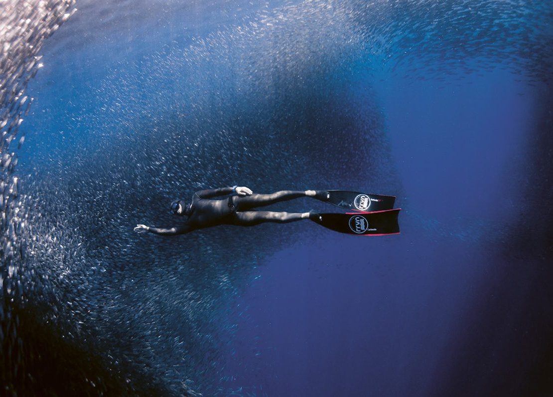 nolisoli be fixture freediving