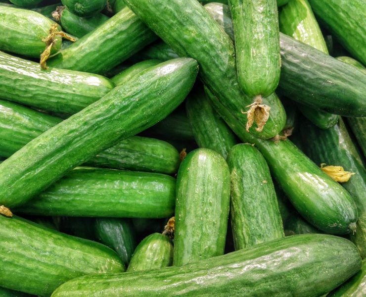 nolisoli eats zucchini vegetable