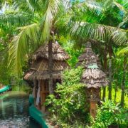 nolisoli eats isdaan