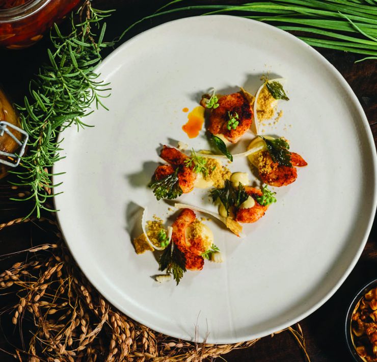 nolisoli events mccormick flavor nation festival