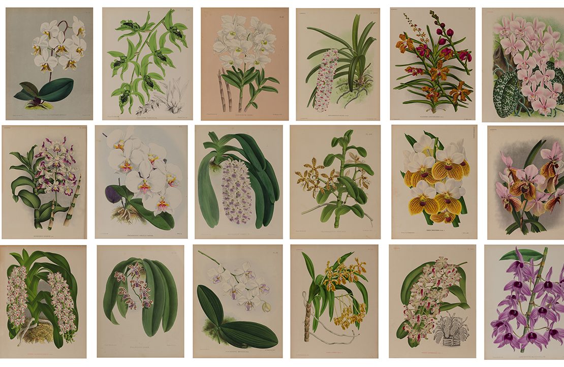 nolisoli be arts salcedo auction