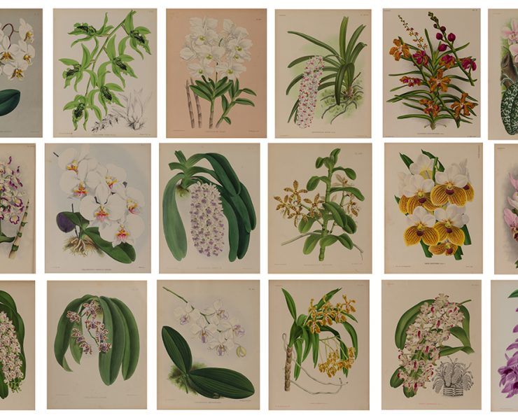 nolisoli be arts salcedo auction