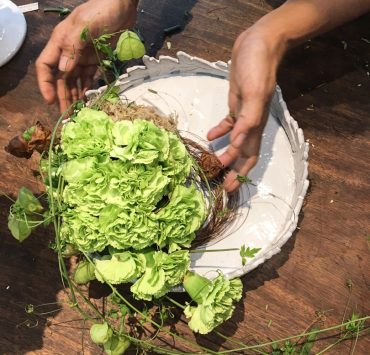 nolisoli blog gaita fores