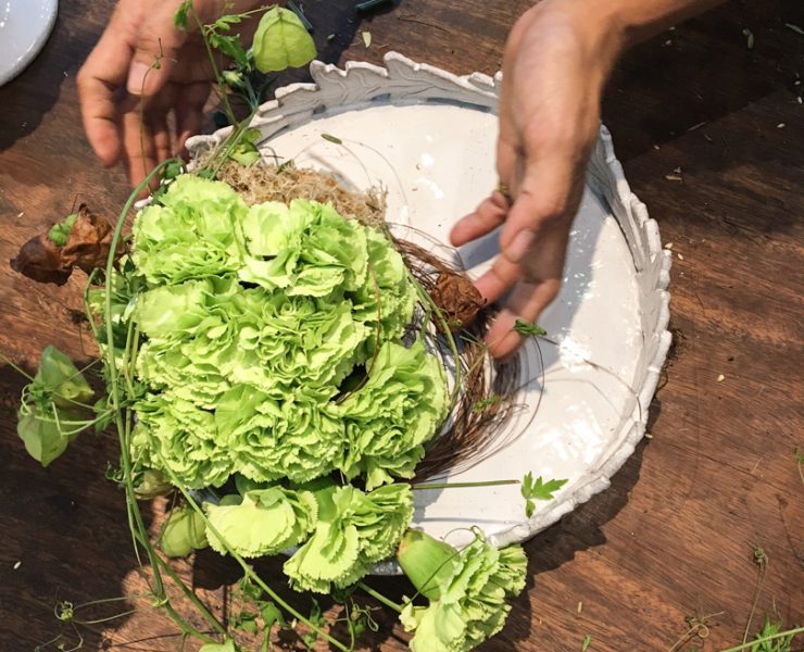 nolisoli blog gaita fores