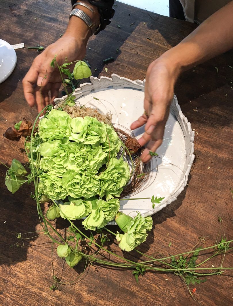 nolisoli blog gaita fores