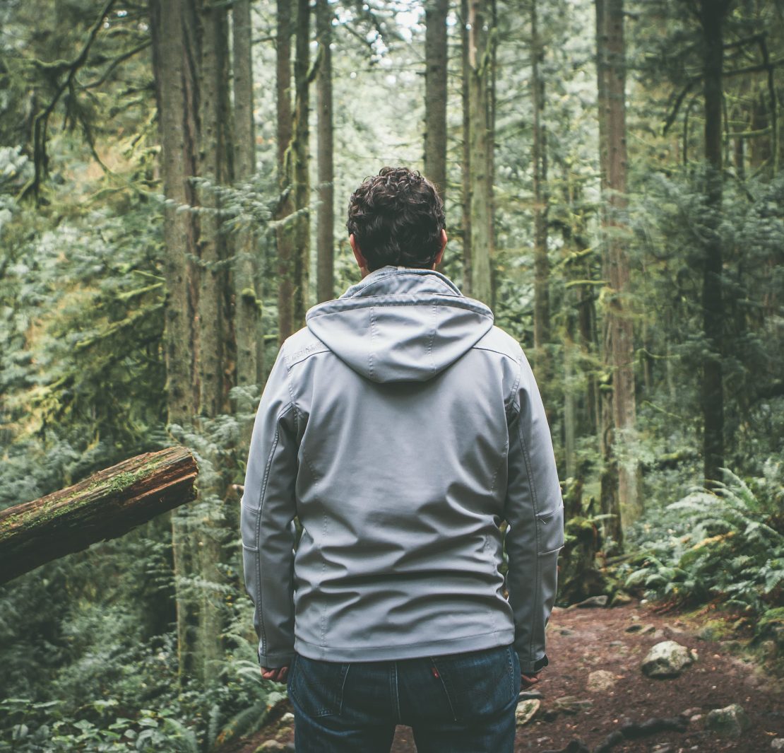 nolisoli health forest nature