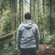 nolisoli health forest nature