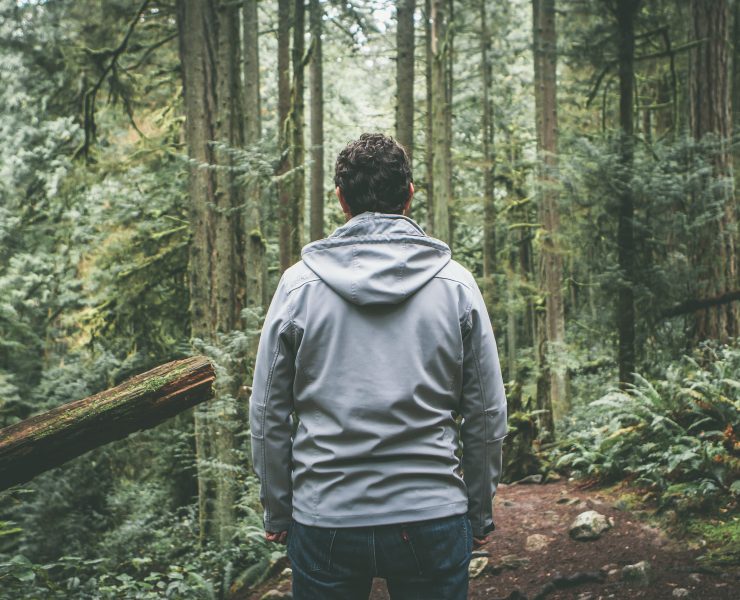 nolisoli health forest nature