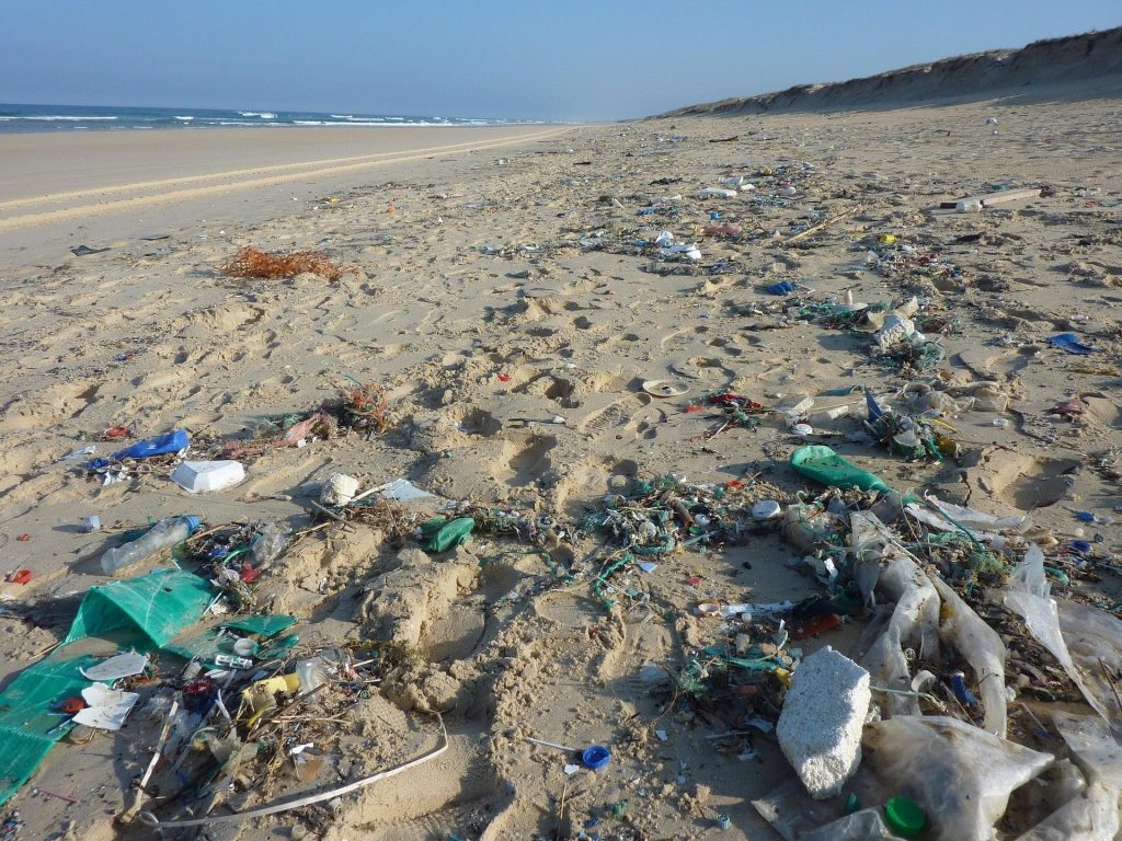 nolisoli care health and wellness ocean pollution plastic straw