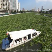 nolisoli be fixture pasig river water hyacinth