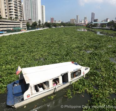 nolisoli be fixture pasig river water hyacinth