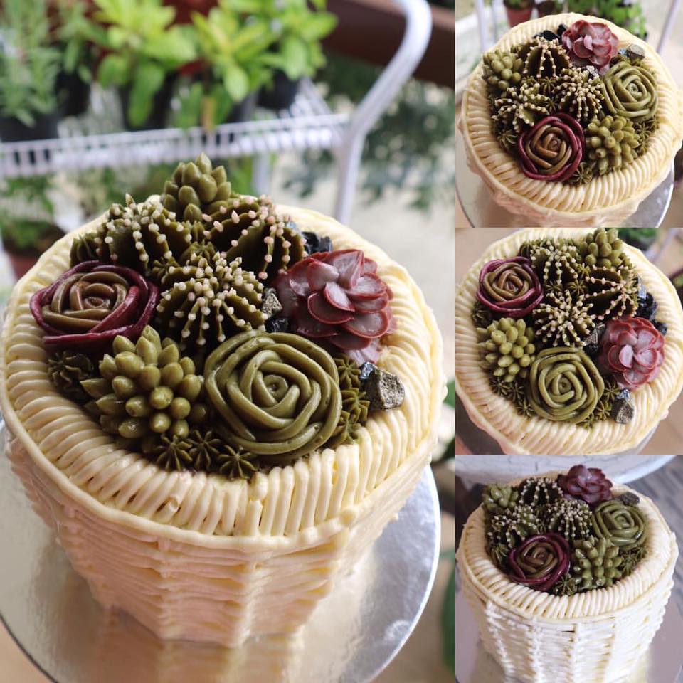 succulents cakes trend nolisoli.ph