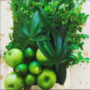 nolisoli fixture eats food trends malunggay moringa