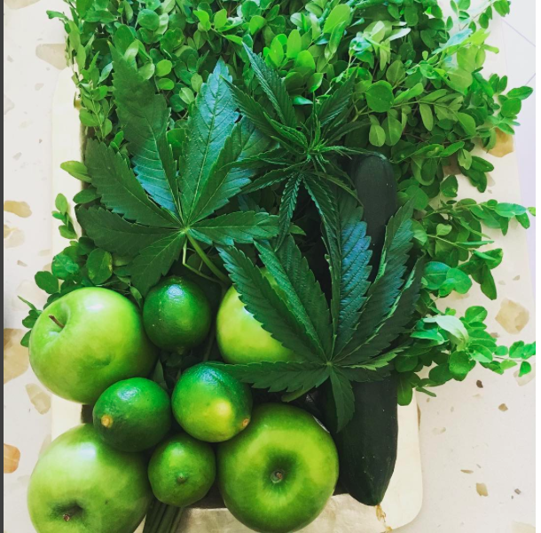 nolisoli fixture eats food trends malunggay moringa