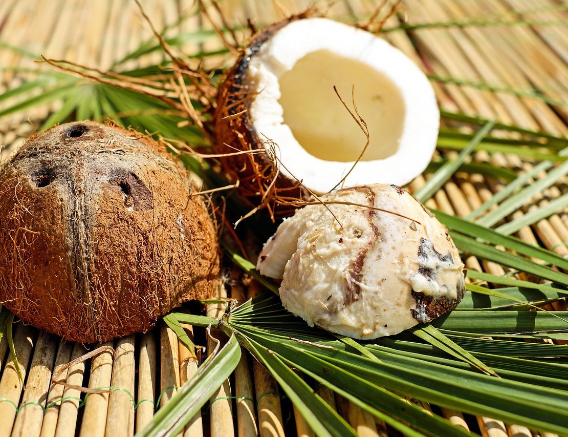 nolisoli care health and wellness coconut oil