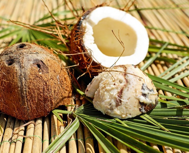 nolisoli care health and wellness coconut oil