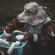 nolisoliph eats food trends cynthia villar wants to ban unli rice